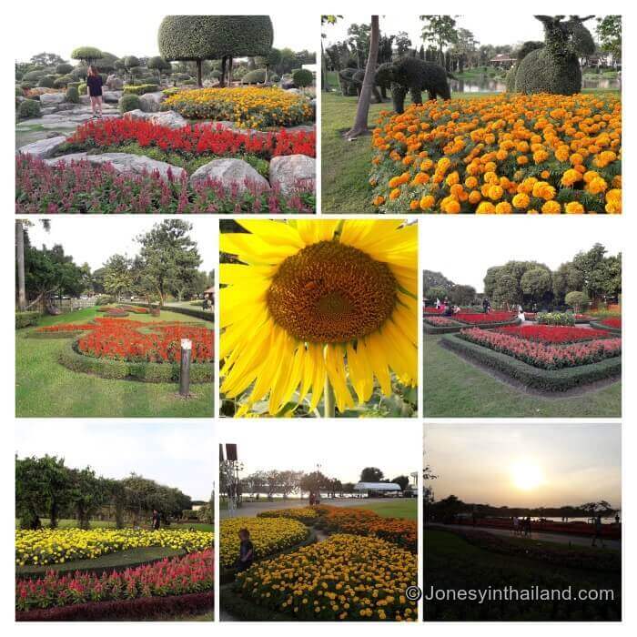 Suan Luang Flower Collage
