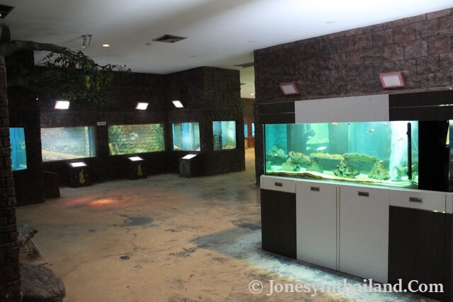 Nong Khai Aquarium Inside
