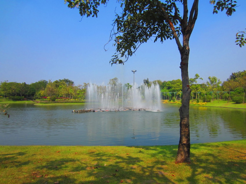 Lake At Queen Sirikit Park In Bangkok