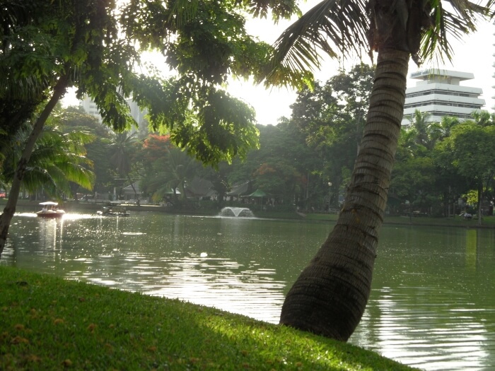 Lumpini Park And Lake In Bangkok
