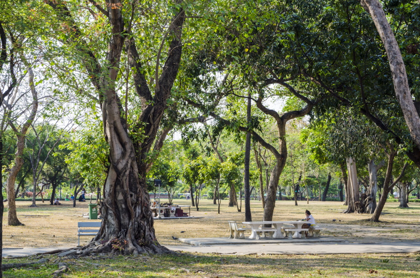 Romaneenart Park In Bangkok, Thailand