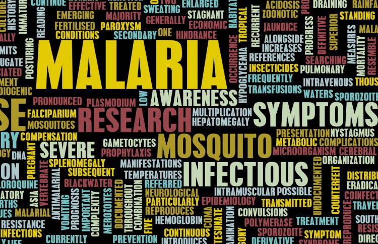 Malaria Collage Of Words