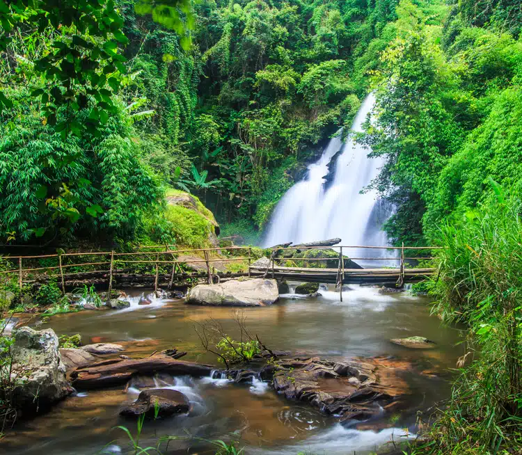 Pha Dok Xu Waterfall Doi Inthhanon Nationa Park Chiang Mai In Thailand